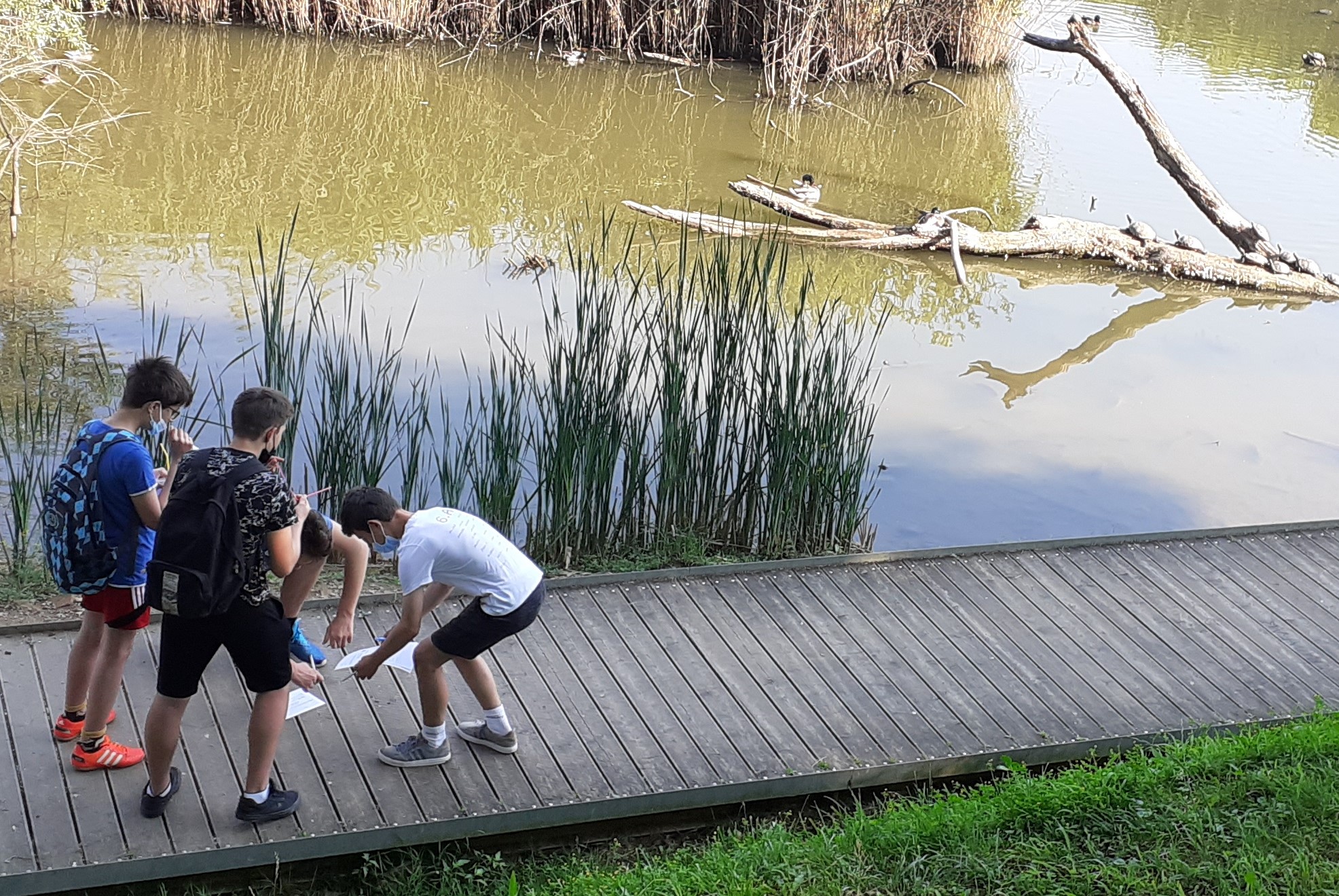 Borov gozdiček – učilnica na prostem