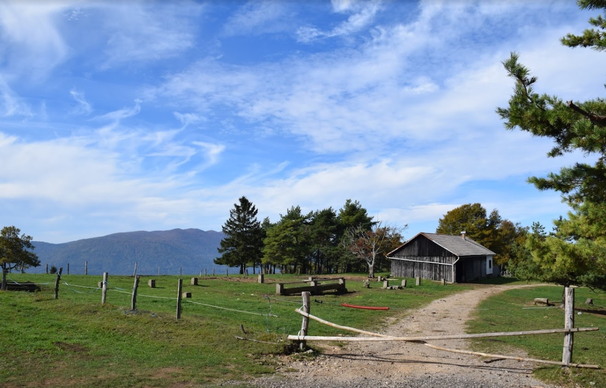 PLANINSKI IZLET NA SLIVNICO (1114 m)