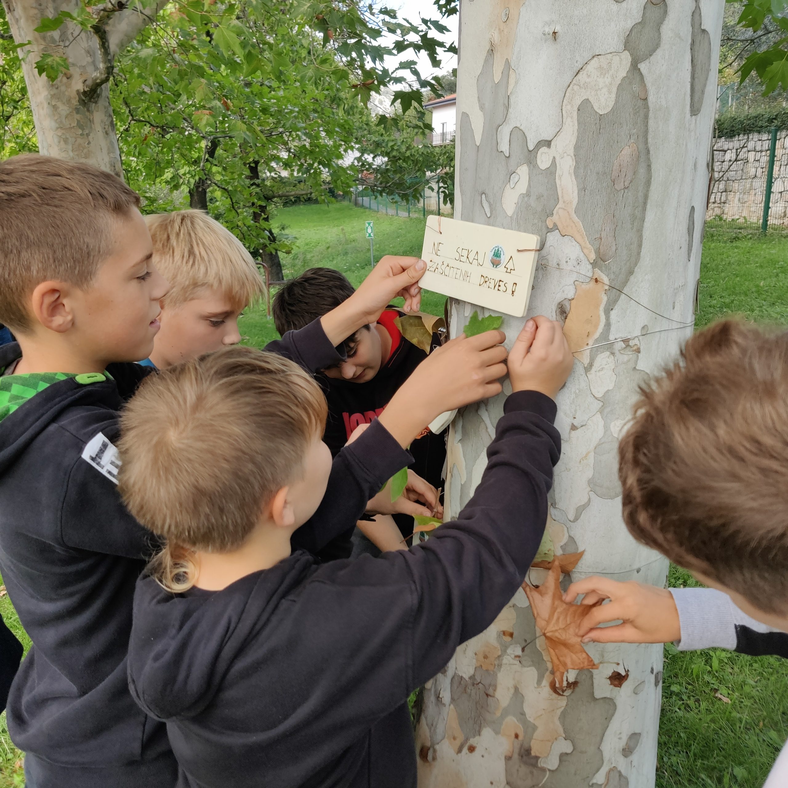 Mednarodni projekti v šolskem vsakdanu