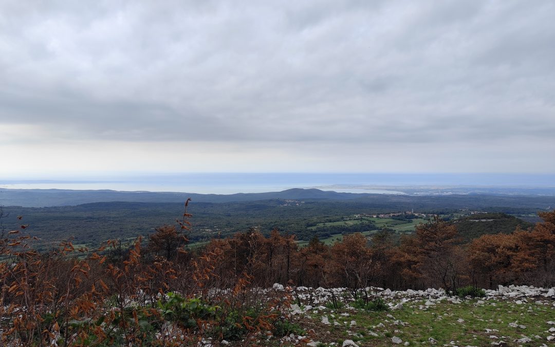 Od SOLKANa do TRSTELJa